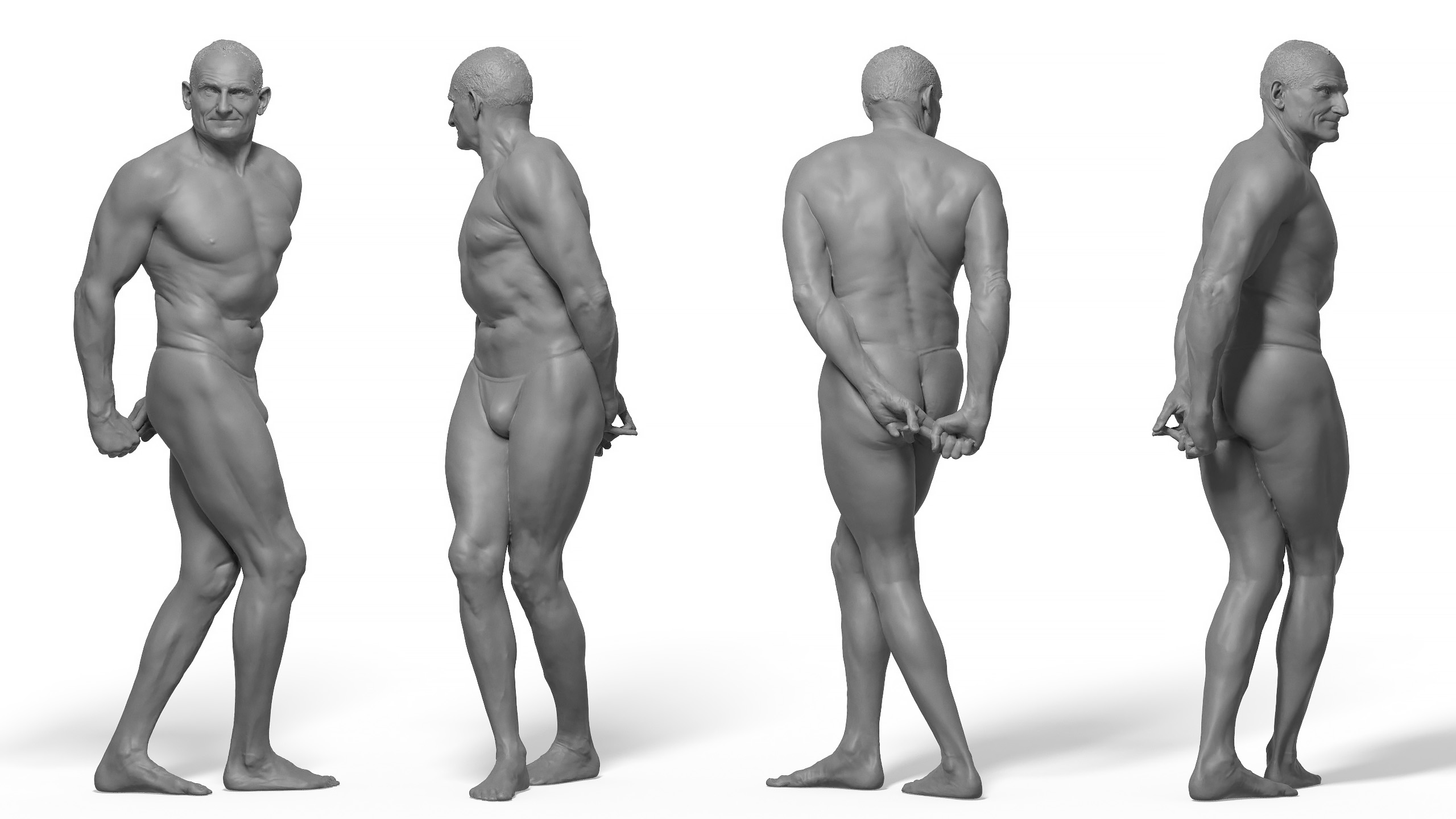 Male Anatomy 3d reference scan download